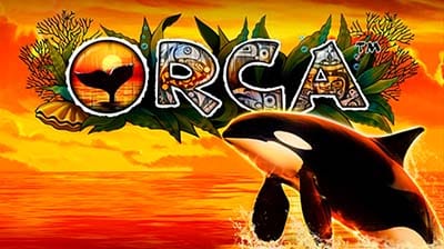 Orca